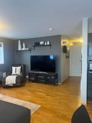 a living room with a large flat screen tv at Apartment Røldal in Håra