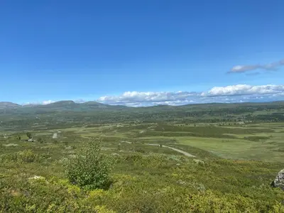 a view of a field with mountains in the background at Actif 318 apartment - close to ski slopes in Ål in Ål