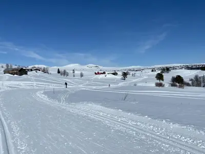 a group of people skiing down a snow covered slope at Actif 318 apartment - close to ski slopes in Ål in Ål