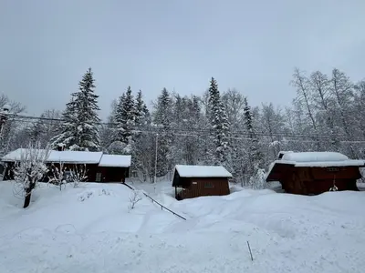 a snow covered yard with two buildings and trees at Smart and beautiful micro house - Great base for mountain adventures in Hedalen