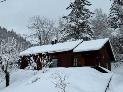 a cabin with snow on the roof and trees at Smart and beautiful micro house - Great base for mountain adventures in Hedalen
