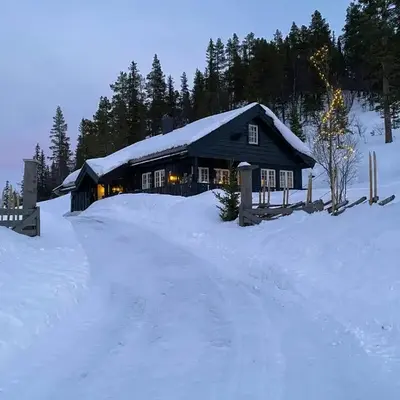 Mountain Cabin With Views Over Nesfjellet