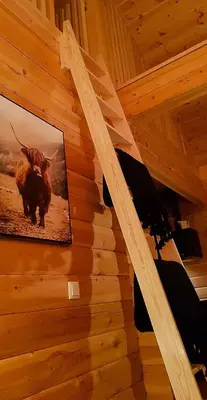 a picture of a cow hanging on a wall at Charming Small Cabin At The Top Of Blefjell in Flesberg
