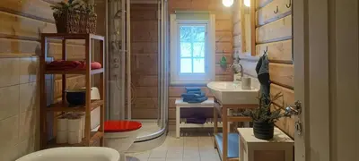 a small bathroom with a toilet and a sink at Cabin With Sauna In Vegglifjell in Veggli