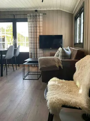 a living room with a couch and a tv at Cabin By The Cross-Country Trails In Norefjell in Eggedal