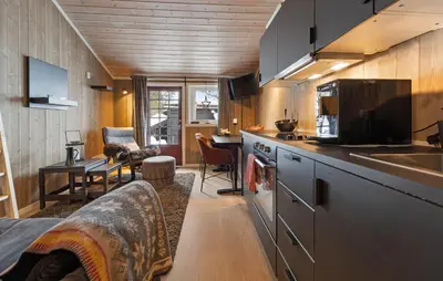a room with a kitchen and a living room at Amazing Apartment In Hovden I Setesdal in Hovden