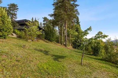 a small tree in a field in front of a house at Ringåsen in Berg