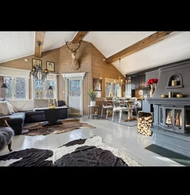 a living room with a couch and a fireplace at Bjorli Mountain Cabin in Bjorli