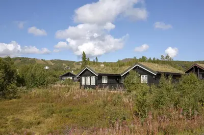 a house with a grass roof on top of a field at Family-Friendly Cabin With Stunning Outdoor Access in Beitostøl