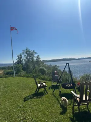 a person sitting on a swing and a dog in the grass at Møsstrond Turisthytte in Hovden
