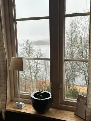 a potted plant sitting on a window sill next to a lamp at Møsstrond Turisthytte in Hovden