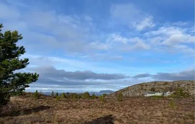 a view of a field with a tree on a hill at 2 Bedroom Amazing Home In Agdenes in Fremstad