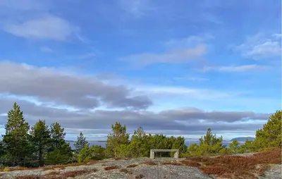 a bench on top of a hill with trees at 2 Bedroom Amazing Home In Agdenes in Fremstad