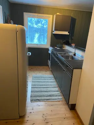 a kitchen with a refrigerator and a sink and a window at Cabin in Valldalen, Røldal in Røldal