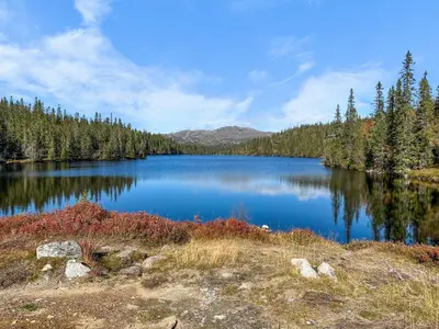 a large blue lake in the middle of a forest at Modern Family Cabin at Norefjell - Views and Hiking in Eggedal