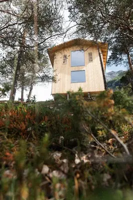 a building in the middle of a field with trees at The Crux Nordic Design Mountain Cabin in Åndalsnes