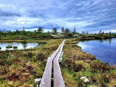 a wooden path next to a body of water at The Holiday - Panorama Lodge in Lampeland