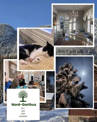 a collage of pictures with a cat and a christmas tree at Nord-Garthus gård leilighet 1 in Hølera