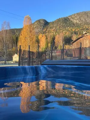 a reflection of a tree in a body of water at Nord-Garthus gård leilighet 1 in Hølera