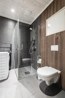 a bathroom with a shower and a toilet in it at Harmony in Geilo, modern and cozy cabin with jacuzzi in Geilo