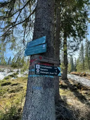 a tree with signs on the side of it at Family Cabin With Panoramic Views Of Tyrifjorden in Nes