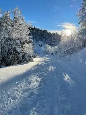 a snow covered road with trees and the sun in the background at Charming Cabin In Jotunheimen in Vaga
