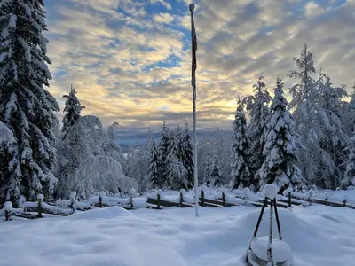a flag on a pole in the snow with trees at Cottage w Wilderness Feeling 20 min from airport in Maura