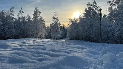a road covered in snow with the sun in the background at Cottage w Wilderness Feeling 20 min from airport in Maura