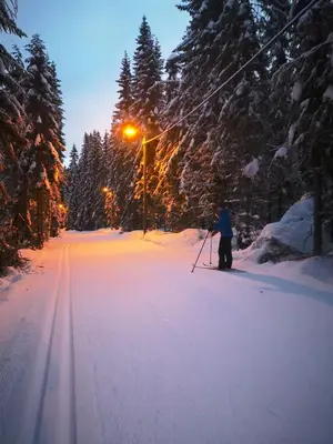 a person on skis in the snow on a street at Cottage w Wilderness Feeling 20 min from airport in Maura