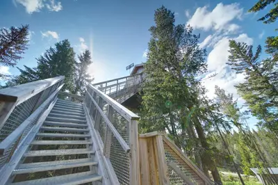 a set of stairs leading up to a house at Faråsen Luxury Treetop Cabin - Sleep Among the Trees in Ringsaker