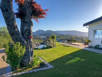 a tree in a yard next to a house at Hytte Hammarslandbakken in Bergen