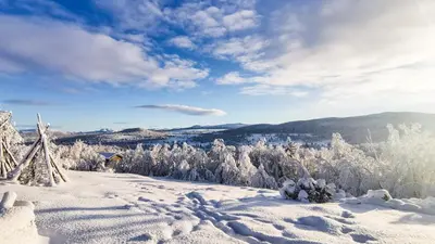 a snow covered mountain with trees in the distance at Hytta Idyll in Dagali