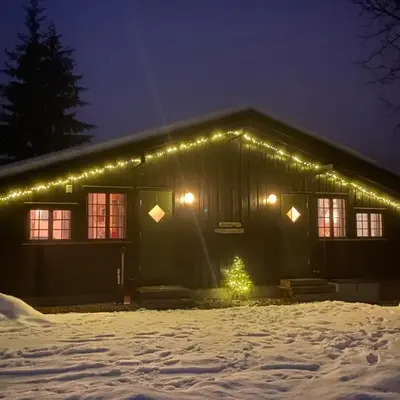 Newly renovated cabin near Ål city center