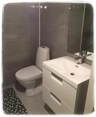 a bathroom with a toilet and a sink and a mirror at Sjøhuset Sjøholt in Sjøholt