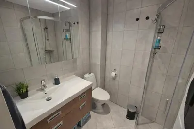 a bathroom with a shower and a sink and a toilet at Bergen City Center Apartment in Bergen