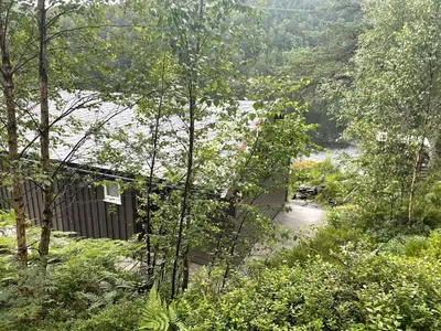 a house in the middle of a river with trees at Beautiful Cottage by the Sea in Tysse