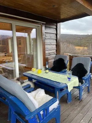 a blue picnic table and chairs on a deck at Cottage in scenic surroundings in Hol