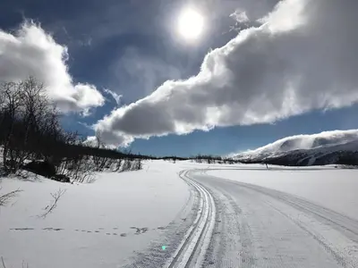 a snowy road with tire tracks in the snow at Cottage in scenic surroundings in Hol