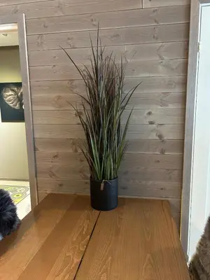 a potted plant sitting on a table in a room at Gorgeous apartment in Geilo in Hol
