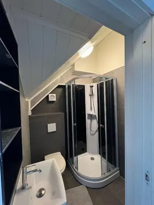 a bathroom with a shower and a toilet and a sink at Nord Apartments in Trondheim