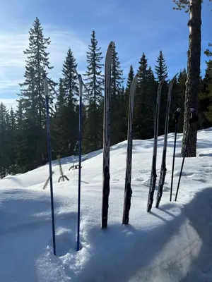 a row of skis standing in the snow at Ål-hytte i Snertingdal på solrik tomt med suveren beliggenhet in Gjøvik