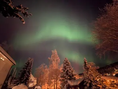 an aurora in the sky with trees and snow at Large Family Friendly Apartment in Lillehammer
