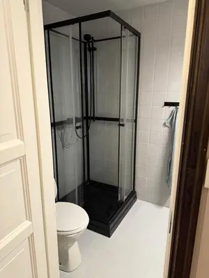a bathroom with a shower and a toilet at Storehorn apartments, Hemsedal - 2 bedrooms, 5 beds in Torset