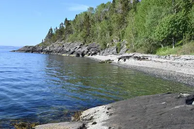 a beach with a rocky shore next to the water at En perle i Trondheimsfjorden in Trondheim