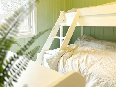 a bedroom with a bunk bed and a ladder at Cabin By Lake Tyrifjorden With Water Views