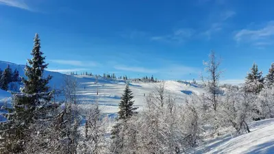 a snow covered hill with trees on it at Tømmerhytte i Valdres med panoramautsikt over fjellene in Aurdal