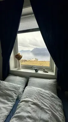 a bed with a window with a view of a beach at Live right by the Sognefjord in Sogndal