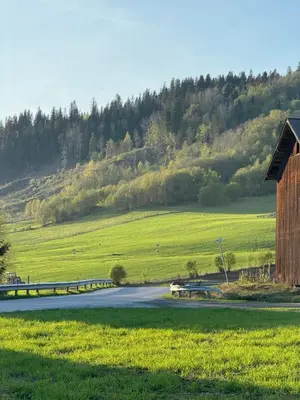a road in the middle of a green field at Kjellerleilighet in Bjørge
