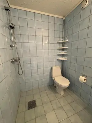 a bathroom with a toilet and a tiled wall at Faleide View in Stryn