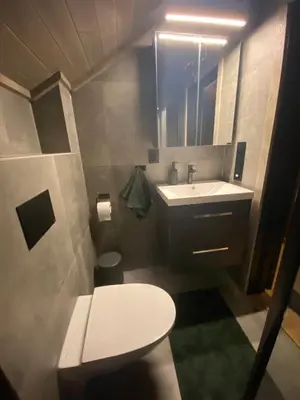 a small bathroom with a sink and a toilet at Ski in and ski out in the middle of the slopes in Favang